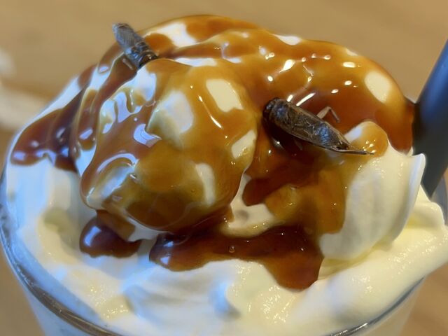 ���q����_�����HTAKEO �󑐖{�X