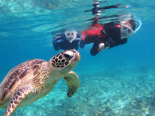 �����C�K�������ƈꏏ�ɁI_�A�}�~�G���V�X