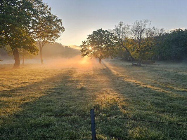 ���͗���Ȃ炵�ĕ����J�����}���ɃE���U��_�J���̕������L�����v��