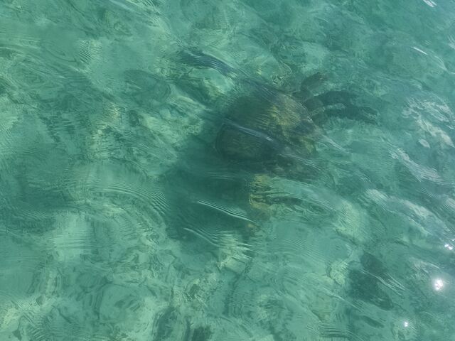 �E�~�K���I_tome cruise