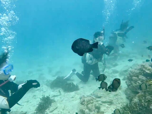 ���ɂ���_�_�C�r���O���J�k�[�X�蒃��