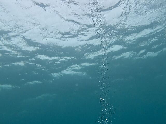 ���[10m���炢_�_�C�r���O���J�k�[�X�蒃��