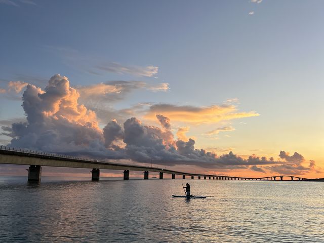 �ō��̗[��_���񂴂ɂ{�Ó�