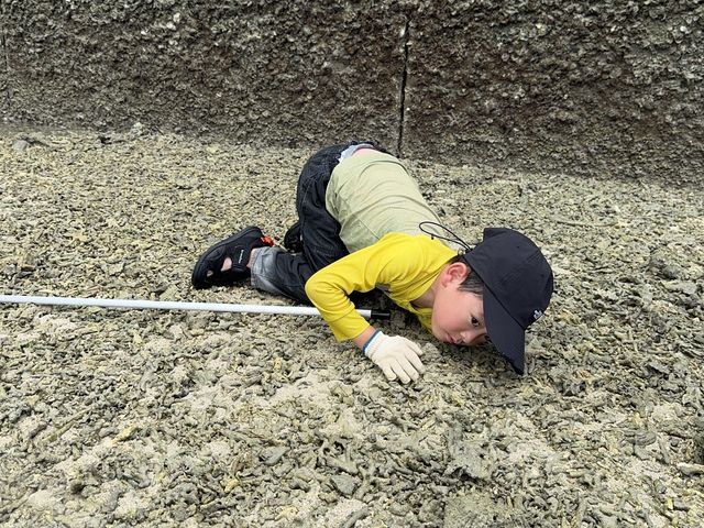 ���̌����͐���Q�����Ă݂�_��[��[�����