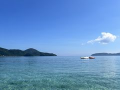 ~T̂Ƃ߃}][gւ̓eʐ^1