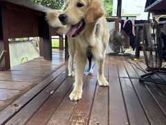 肩̃_CrOVbvTI.OCEANւ̓eʐ^1