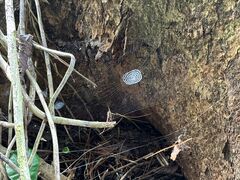 炳̋{ÓЂƂƂۂւ̓eʐ^1