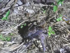 mari̐Ί_tHgE~KVm[P Sea starΊ_ւ̓eʐ^1