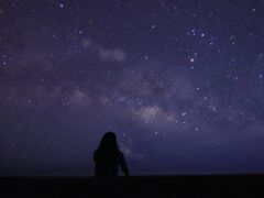 mariSea star Ί_ւ̓eʐ^1