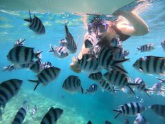 ƂCHILL DIVEւ̓eʐ^1