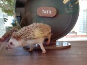 �݂�[����̃A�j�}���J�t�F �X�̂����ۂ̓��e�ʐ^3