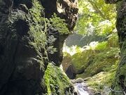 ÎЂ̂͂یNu̓eʐ^1