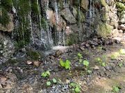 ÎЂ̂͂یNu̓eʐ^2