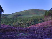 masa���񂳂�̑򌴍����̓��e�ʐ^2