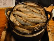 ЂЂ낳̋`ǂ {X̓eʐ^5