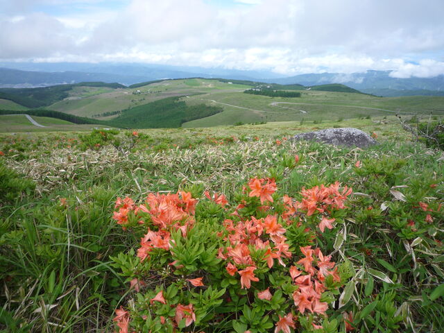 QccWƃr[iXC_ԎR̃QccW