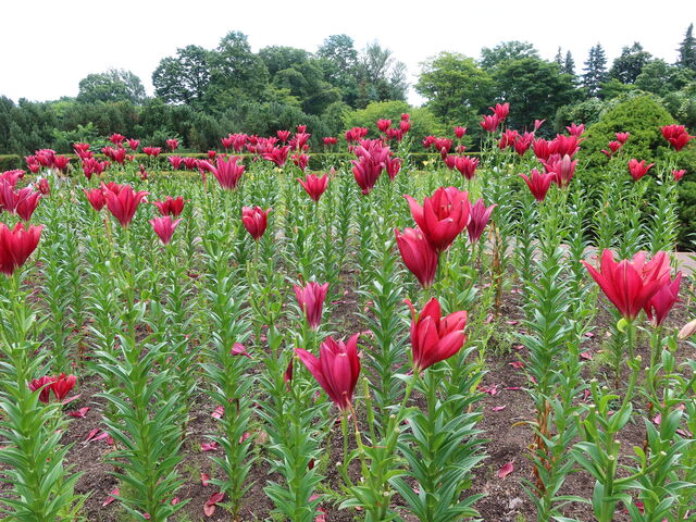 �������������_�S����������