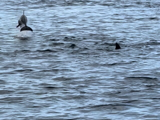 eVオ܂B_CJEHb`Ot\Z^[