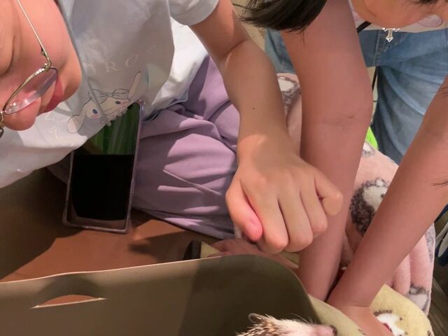 ����_�n���l�Y�~���cafe HARRY WOOD�i�n���[�E�b�h�j�Ȃ�ΓX