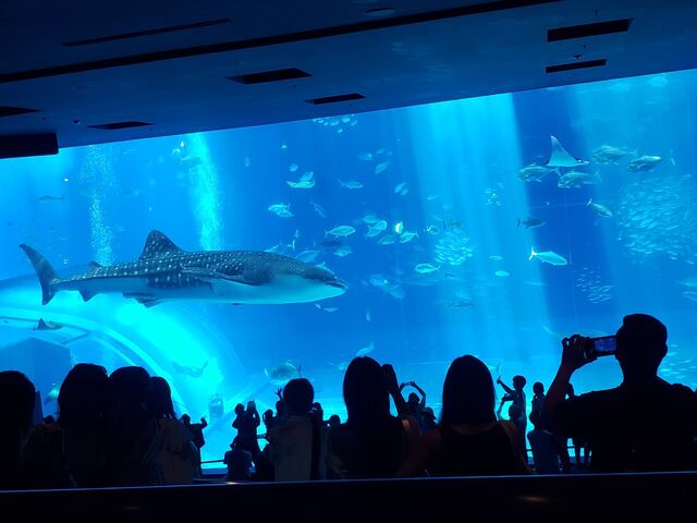 ����C������_������ЃZ�����A���u���[