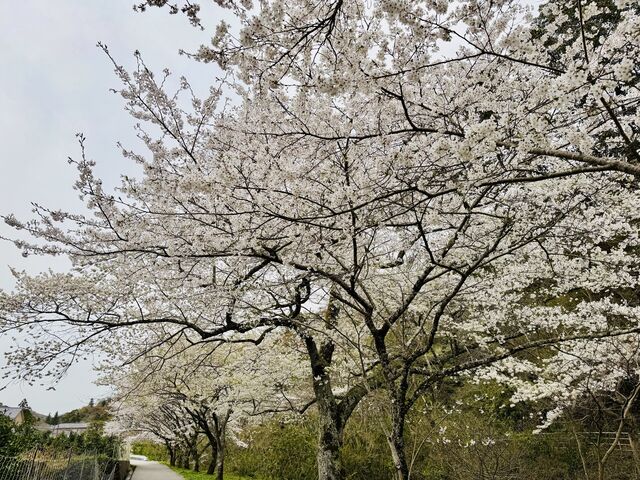 �������̍��@
���܂ōs���쉈���ɍ�������܂�_���Ҏ��̍�
