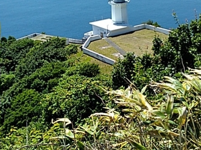 �C���o�E���h�̐l�X�����Ȃ��ĐÂ��Ɋό����Ă����B_�n�����W�]��