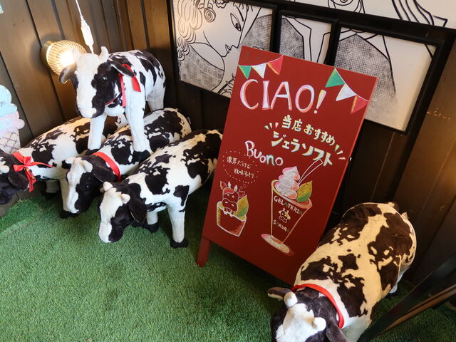 ╂ꂽHX_Gelateria Sakura