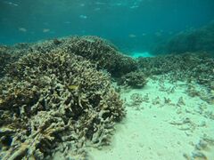 ܁[̐Ί_ ADVENTURE PiPiւ̓eʐ^1