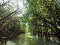 ̐Ί_ ADVENTURE PiPiւ̓eʐ^1