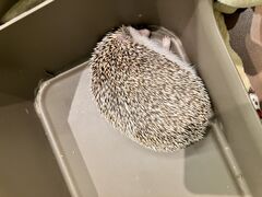 nlY~cafe HARRY WOODin[EbhjȂΓX̎ʐ^1