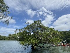 O̐Ί_ ADVENTURE PiPiւ̓eʐ^1