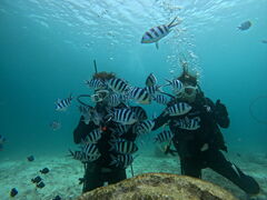 Ƃ̖` ꑍAEghAcA[Xւ̓eʐ^1