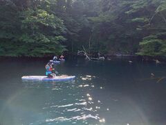 �m�����񂳂�̏\�a�c�΃J�k�[�Z���^�[�ւ̓��e�ʐ^1