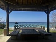 chikȃlCllLv̓eʐ^2