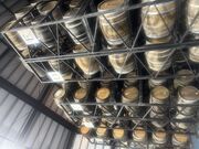 肽̃wIX𑢁ijAH 𑠌w̓eʐ^1