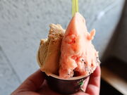 yosshyGelateria Sakura̓eʐ^5