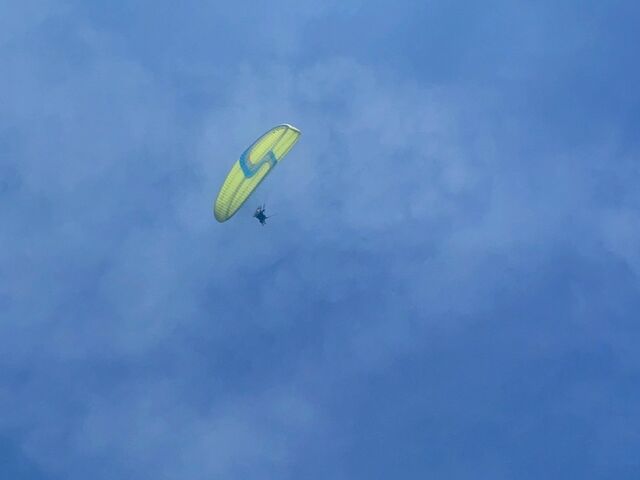 �ق�ƂɊy���������I�T���߂Ɍ����čō��I_���C�g�h���[��