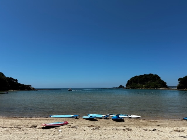 �Y��ȊC�ł���_�G�R�X�|�[�c�X�N�[�� �z���C�g�E�C���O