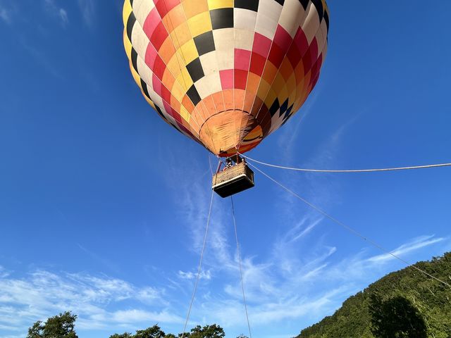 �����ڈȏ�ɍ����c�B_�k�C�����C�I���A�h�x���`���[