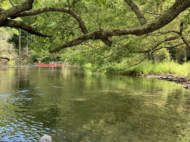 �����߂����ጩ��܂�_���o�[���t�B�[���h