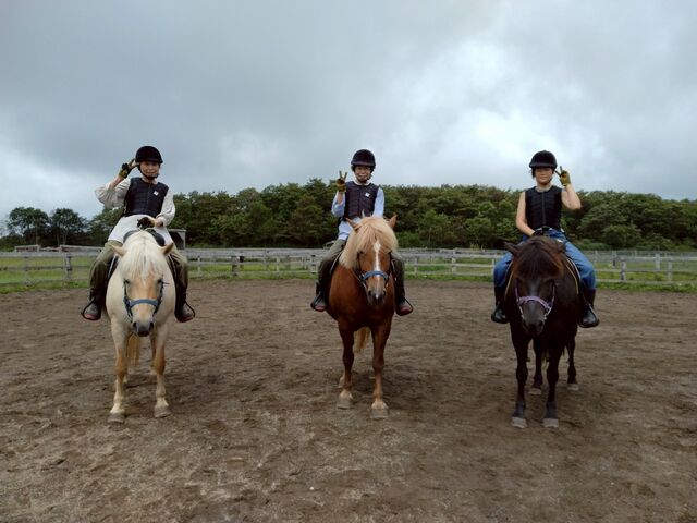 ��ꂽ�I_�o�ʃz�[�X�p�[�N�V�x