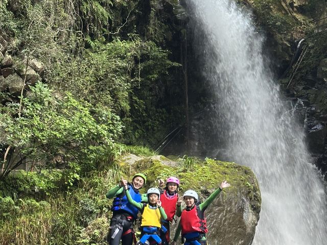 ��΃`�������W���ׂ�_�t�B�[���h�A�[�X �ɓ�