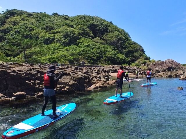 �T�C�R�[�I�I_�G�X�y�����T����