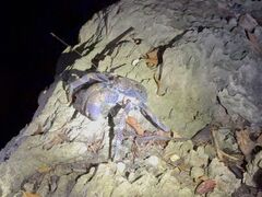 qg̐Ί_ ADVENTURE PiPiւ̓eʐ^1