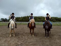 ܂݂̓oʃz[Xp[NVxւ̓eʐ^1