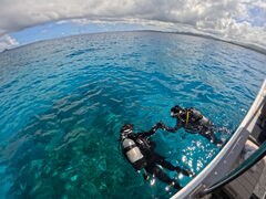 ݂[Diving Shop Naluւ̓eʐ^2