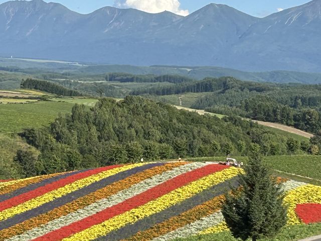 �G�̂悤�Ȍi�F_�l�G�ʂ̋u