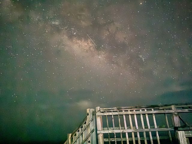 �V�̐�I_Nami�{�Ó�