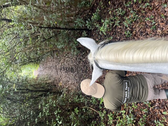 �D�����ӂ���_���񂳂�q��