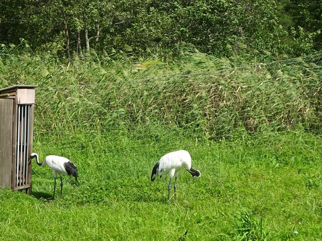 �����̒O��_�O���ߎ��R����